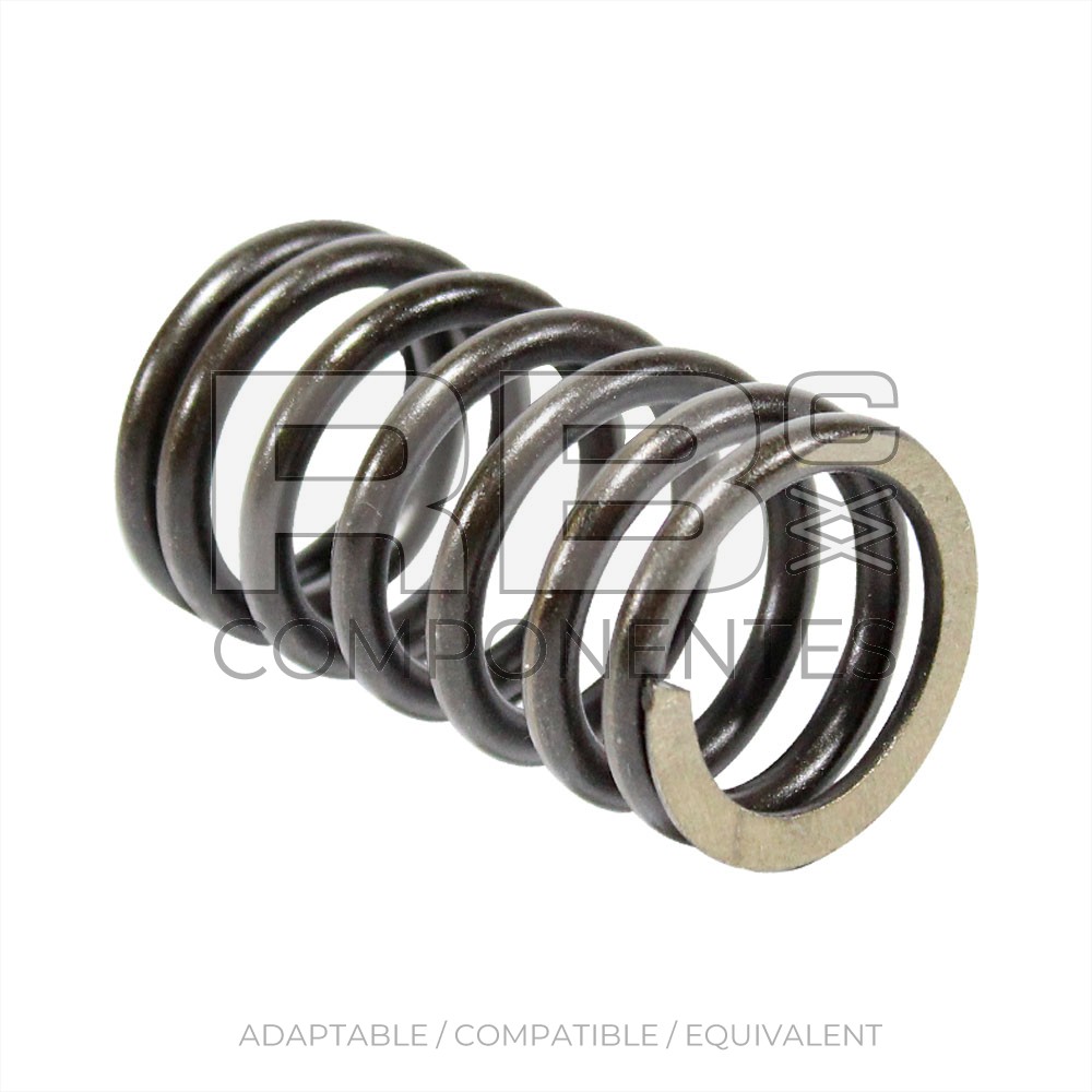 VALVE SPRING