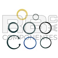SEAL KIT PLATFORM EXT CYLINDER AD/CO/EQ JL 7001608