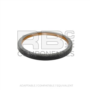 REAR OIL SEAL