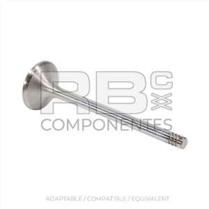 EXHAUST VALVE