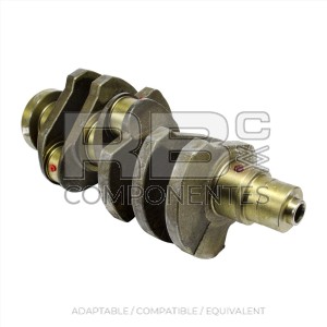 CRANKSHAFT 0427 0234