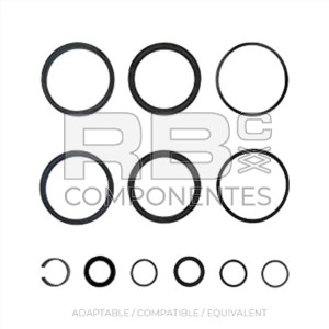 SEAL KIT (PLATAFORM LEVEL) c.w. 2901543