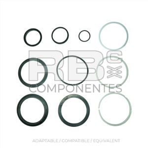 SEAL KIT DIRECTION CYLINDER AD/CO/EQ JL 2901261